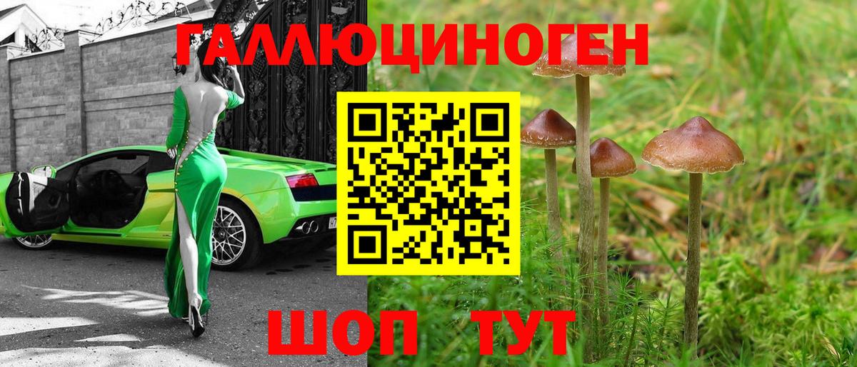 Псилоцибиновые грибы Cubensis Печора